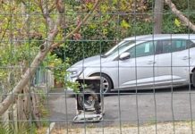 A fuoco un elettrodomestico. Tanta paura, nessun ferito