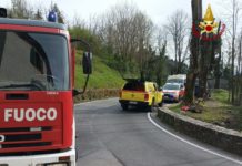 IN AGGIORNAMENTO | Cade un albero, muore sessantenne pesciatino