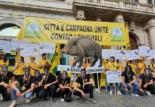 Valdinievole, stop all’invasione di cinghiali. “Anche davanti alle scuole”