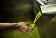 Operazione Verum ed Oleum. Oltre due milioni di litri di olio irregolari