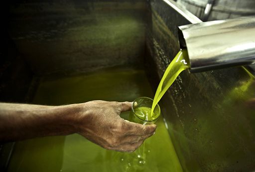 Agroalimentare/Scoperti 2,3mln litri olio Evo irregolari: 10 denunce