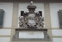 Punto Nascita. Confcommercio, “a rischio la tenuta economica del territorio”