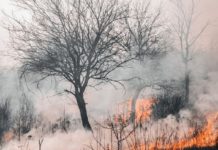 Rischio incendi boschivi: periodo a rischio