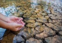 Coldiretti: segnalazioni danni causati dalla siccità