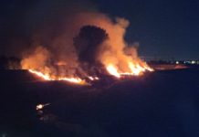 A fuoco l’argine del fiume. Ignote le cause