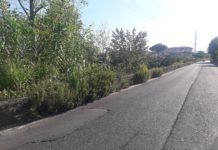 Via Lucchese, l’odissea di una signora. Tra traffico intenso ed erbacce è impossibile camminare