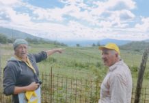 Patate contro cinghiali. Vincono gli ungolati. Il caso di un agricoltore