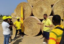 L’agricoltura pistoiese dipende da lavoratori immigrati. “Maggiore disponibilità”