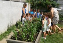 Stop allo sviluppo delle tecnologie. Alla Sant’Ilario casse per l’orto didattico