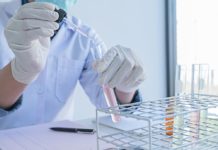 Avviso pubblico per Borsa di studio laureato in Biologia e Biotecnologia