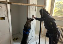 Spaccio tra studenti. Sequestrati spinelli e coltelli I VIDEO