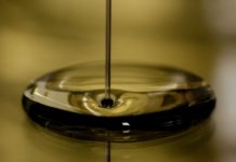 È possibile candidare il proprio olio alla selezione EVO