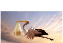 La cicogna non passa più da Pescia. Per Rifondazione Comunista “ci prendono per il naso”