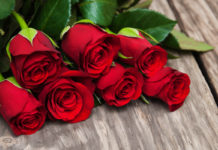 San Valentino: rosa rossa il fiore più regalato. Per Cia produzione in calo per i costi energetici