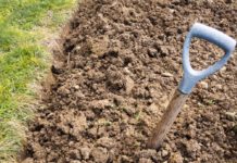 Banca della terra: terreni agricolo-forestale per gli under 40