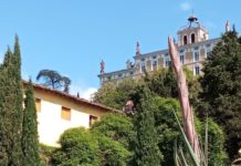 Sboccia il Fiore della morte. Evento speciale nel giardino storico del Parco di Pinocchio