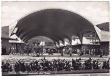 Torna la Biennale del Fiore. Da un’idea di Giuseppe Rolando Anzilotti. Il logo