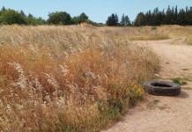 Terreni incolti, in arrivo sanzioni. Tutte le disposizioni