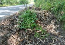 Circolo Vellano a Marmo e Giurlani. “Le strade che portano in montagna sono maltenute e pericolose”