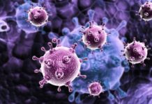 Epatite C, a settembre il programma di screening gratuito per i nati tra il 1969 e il 1989