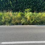 stampante3