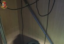 Marijuana fai-da-te. Arrestato 44enne a Pescia