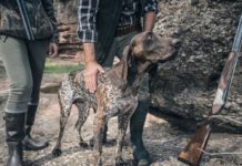 Tesserini venatori disponibili in comune