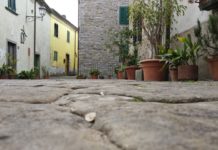 Difesa idraulico-forestale a Medicina e Aramo. Pescia Cambia rivendita i progetti