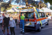 Cade un grosso ramo. Tragedia sfiorata su viale Garibaldi. Le foto