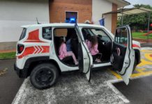 Agente per un giorno. Le razze di uccelli e mammiferi in pianura e collina