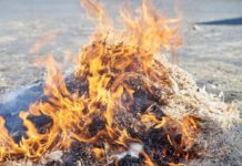 Divieto abbruciamento di residui vegetali