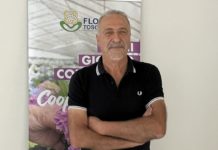 Flora Toscana, campagna Ognissanti. Incremento a sei milioni di steli