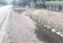 Sud di Pescia a rischio inondazione. Canali ostruiti, intevenire. Le foto