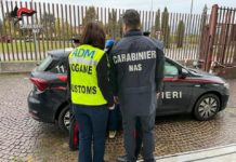 Peculato e spaccio di sostanze anabolizzanti. Sospeso un infermiere