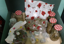 Cocaina e marijuana. In manette due giovani albanesi, ladri di biciclette elettriche