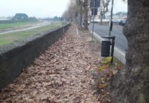 Viale Garibaldi. Vietato ai pedoni…soprattutto se spilungoni