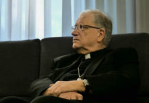 Operaio muore travolto da un albero. Il cordoglio e l’appello del Vescovo Tardelli