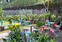 Estate Insieme. Dal 25 giugno a Parco Valch musica e ballo