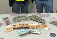 In auto con 700 grammi di droga. Arrestato in autostrada, sequestrata l’auto