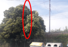 Un cavo che fa paura. “A meno di due metri da terra…”