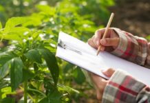 Nuove imprese condotte dai giovani. Premio a fondo perduto