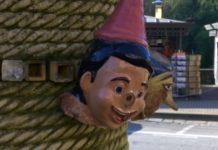 Pier Francesco Bernacchi: “Restauro dell’Albero di Pinocchio”. Opera di Eugenio Taccini