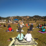 Foresta-innovatori-11