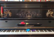 Scuola di Musica Dolce Mozart, piccole piume planano… . Scopri dove