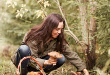 Raccolta di funghi. Le indicazioni dell’Ausl per un consumo corretto e privo di rischi