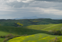 Attrazione investimenti, la Toscana si conferma ai vertici