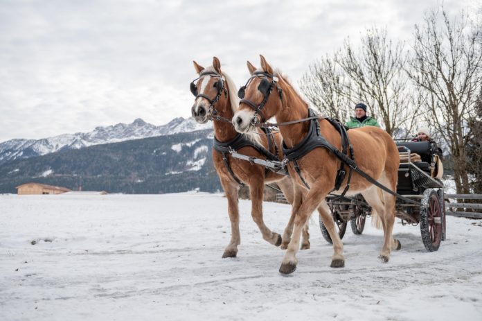Ph_GianvitoCoco_Plan de Corones_Montagna invernale a ritmo