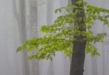 CAI. C’è l’assemblea dei Soci. “Ascoltiamo proposte”