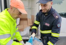 ALIMENTI AVARIATI destinati agli asili nidi. Sequestrati 32 kg