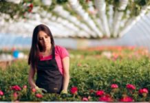 Investimenti produttivi agricoli per potenziamento competitività mercati